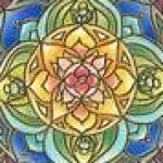 Foto del perfil de Laura Pacheco